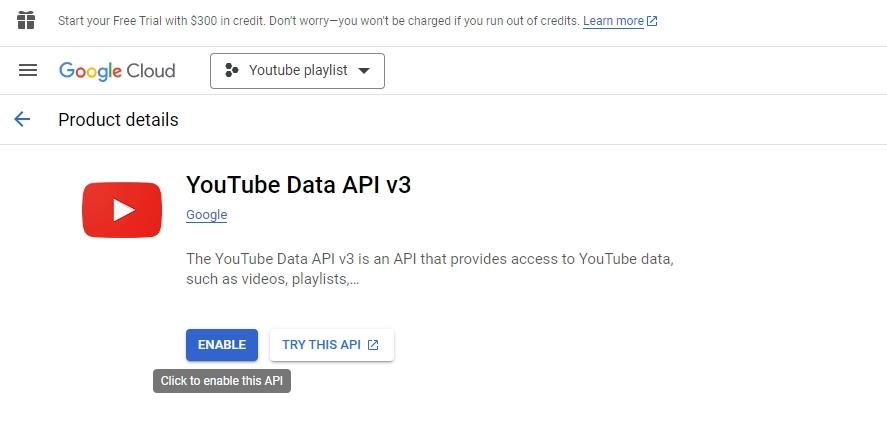 YouTube Data API Activating